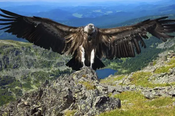 2D 1N Colca Canyon Tour from Puno + transfer to Arequipa