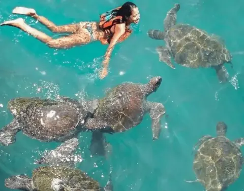 하루 종일 해변 투어, Zorritos, Punta Sal, Mancora 및 Ñuro