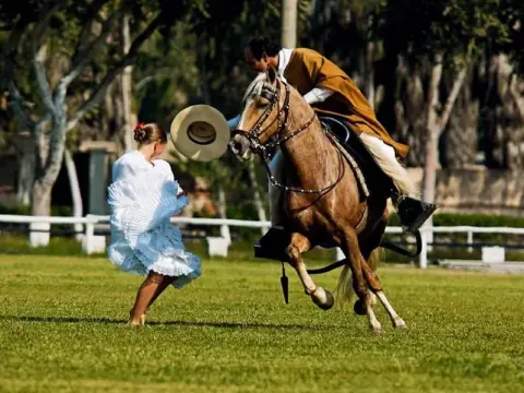 Tour de Pachacamac, restaurante temático, caballos de paso peruanos.